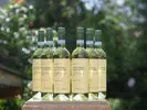 6 x 0,75 l Kartón vín Pinot Grigio | Pasqua