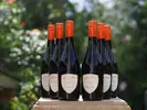 6 x 0,75 l Kartón vín Frizzante | I Castelli
