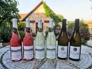 6-dielny Balíček sladkých a polosladkých vín z vinárstva Bíro