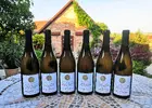 6-dielny Balíček suchých a polosuchých vín z vinárstva Bíro
