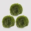 3 ks Vodná riasa "Riasoguľa" (3-4 cm)