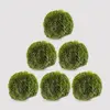 6 ks Vodná riasa "Riasoguľa" (3-4 cm)