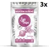 3 x 20 g Lyofilizovaná zelenina sušená vo vákuu (červená repa jemne solená)