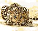 Diamantové maľovanie podľa čísel | Číhajúci leopard