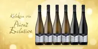 6 x 0,75 l Balík exkluzívnych vín značky MOVINO "Privat Exclusive" (MIX 6 druhov)