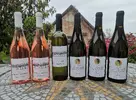 6-dielny Balíček polosladkých a sladkých vín z vinárstva Bíro