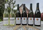 6-dielny Balíček suchých a polosuchých vín z vinárstva Bíro