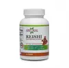 60 kps. Výživový doplnok Reishi 500 mg