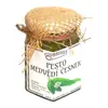 100 g Pesto z medvedieho cesnaku
