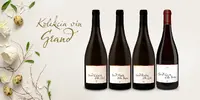 4 x 0,75 l Balík exkluzívnych vín značky MOVINO "Grand " (MIX 4 druhov)