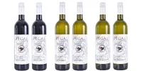 6 x 0,75 l Balík slovenských vín značky PEGAS "Silver Class" (MIX 3 druhov)