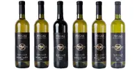 6 x 0,75 l Balík slovenských vín značky PEGAS "Elite Class" (MIX 5 druhov)