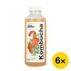 6 x 500 ml Balenie fermentovaného nápoja kombucha (jahoda & mäta)
