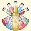 6 x 330 ml Degustačný MIX fermentovaných nápojov kombucha Oi®