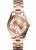 Michael Kors dámske hodinky MK6071
