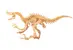 Velociraptor