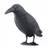Maketa havrana na odpudzovanie holubov a vtákov (ISO)