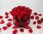 Valentínsky okrúhly box ruží / veľkosť S