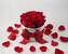 Valentínsky okrúhly box ruží / veľkosť XS