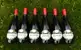 6 x 0,75 l Kartón ovocných vín (čierna ríbezľa)
