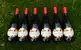 6 x 0,75 l Kartón ovocných vín (broskyňa)
