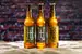 6 x 0,5 l Remeselné pivo HL 10 °/11 °/12 °