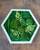 Machový šesťuholník so zelenou papraďou