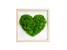 Machový obraz na stenu "Moss Heart Green"