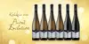 6 x 0,75 l Balík exkluzívnych vín značky MOVINO "Privat Exclusive" (MIX 6 druhov)